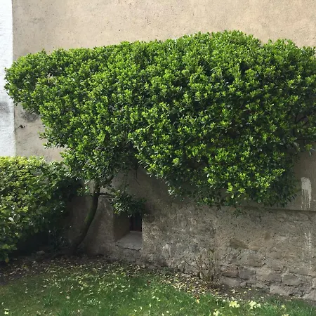 Gaddi House * San Fedele Intelvi